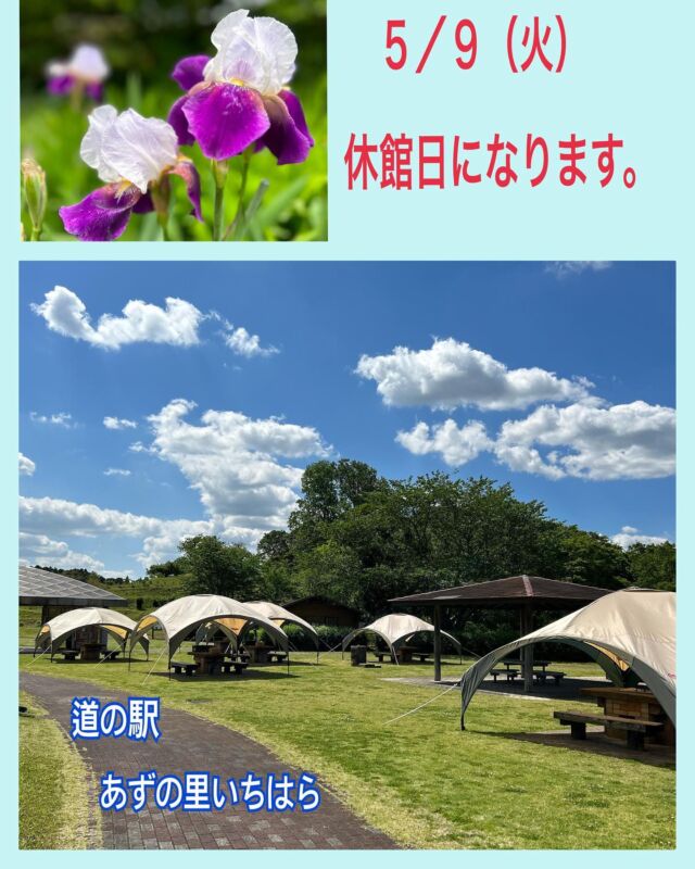 こんにちは
あずの里いちはらです🤗

ＧＷ楽しみにしていたＢＢＱを　　　
先週の土日、天気の悪化で中止させて頂きました🙅‍♀️

大変申し訳ございませんでした🙇‍♀️

またのご連絡、予約お待ちしております🥹

🈺ＢＢＱは、10月31日まで営業しております

🌴あずの里いちはらは、５／９　第２火曜日
休館日です🍀

よろしくお願いします🤲

#道の駅あずの里いちはら
#道の駅#道の駅めぐり
#道の駅スタンプラリー
#農業センター
#びわ#千葉名産#びわデザート
#いちはら梨#いちじく
#野菜#旬野菜
#自然#BBQ#休憩所
#お土産#千葉土産
#ちばから#ラーメン
#千葉限定
#ゴルフ場
#千葉県#南房総
#鳥#桜#お茶#写真
#お花見#お散歩
#御城印