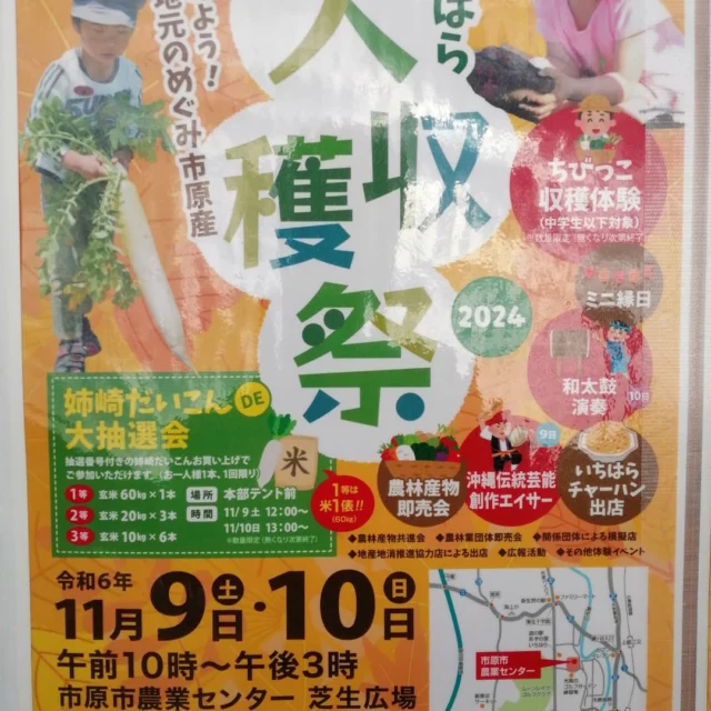 11/9（土）〜11/10（日）10時〜15時 あずの里いちはらに隣接する農業センターで大収穫祭で〜す！  #市原市農業センター #あずの里いちはら #即売会#和太鼓演奏#収穫体験 #安須980