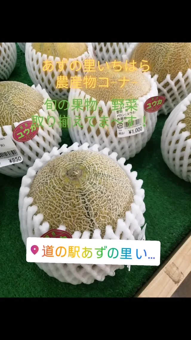 あずの里いちはらです!
旬の果物、野菜取り揃えてま〜す!  #あずの里いちはら #直売所 #新鮮野菜 #道の駅 #日帰り旅行 #記念切符 #市原市