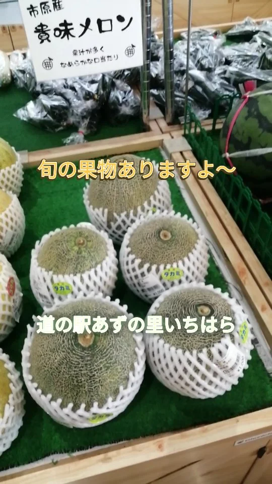 あずの里いちはらですよ～
旬の果物、野菜取り揃えて
待ってま〜す！  #あずの里いちはら #直売所 #新鮮野菜 #農業センター #道の駅 #市原特産 #市原市 #桃 #すいか🍉 #カブト虫 #休憩 #bbq