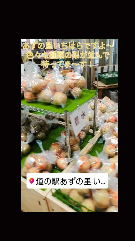 Instagram 投稿 18061602032459646