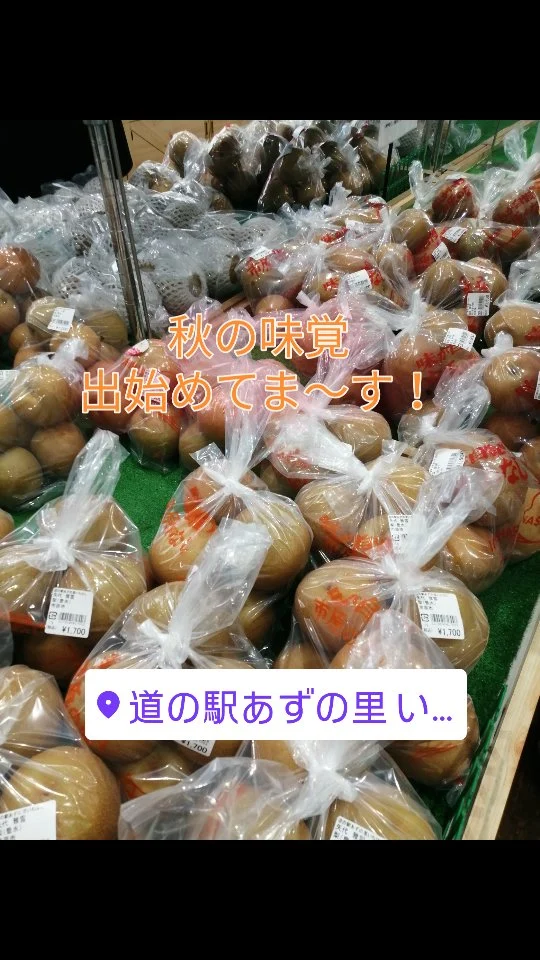 Instagram 投稿 18078632126488580