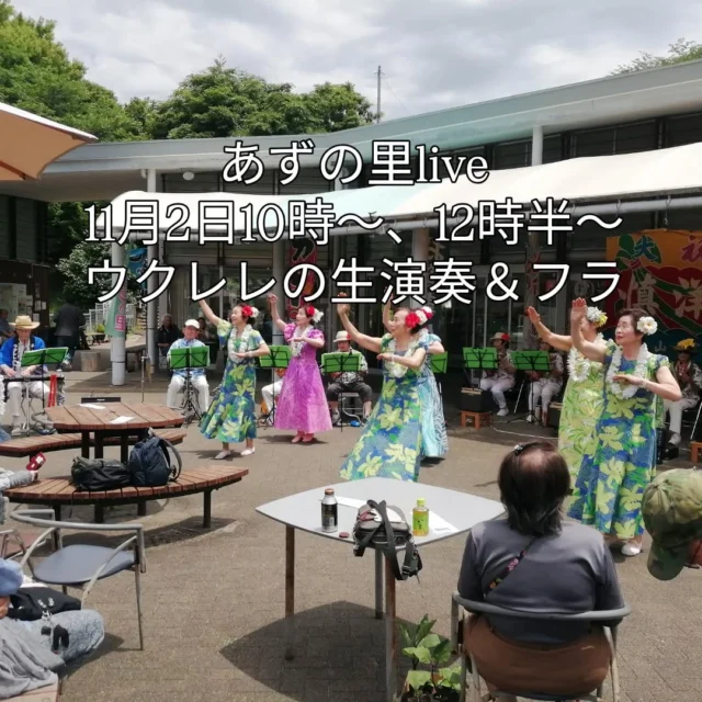 11月2日 あずの里live ウクレレの生演奏＆フラで楽しんで下さいね！
午前10時〜,午後12時半〜の2部ですよ～
画像は昨年の模様です。  #あずの里いちはら #直売所 #イベント #ハワイアン #市原市農業センター #市原市