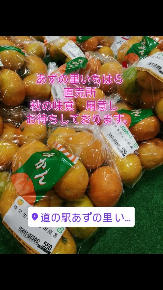 あずの里いちはらです。
直売所では、秋の味覚を用意して皆様のお越しをお待ちしております。  #あずの里いちはら #直売所 #新鮮野菜 #農業センター #道の駅 #市原市 #ソフトクリーム #ドライブデート #トイレ休憩
