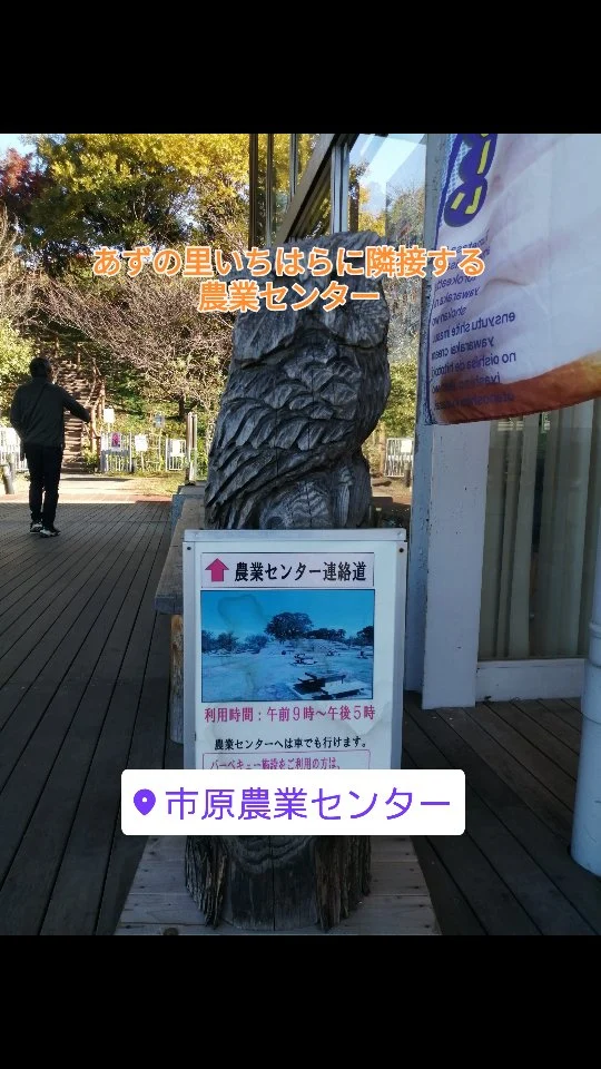 あずの里いちはらに隣接する農業センターで、ゆっくりとした時間の中で散歩でもいかがでしょうか？リフレッシュにはいいかも…  #あずの里いちはら #農業センター #市原市 #直売所 #新鮮野菜 #道の駅 #ソフトクリーム #美味しいパン #焼きたてピザ