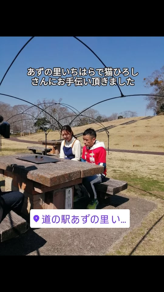 いちはらケ−ブルTVの「ねこの手も借りたい！」で猫の手を貸してもらいました。  #あずの里いちはら #直売所 #新鮮野菜 #農業センター #猫ひろし