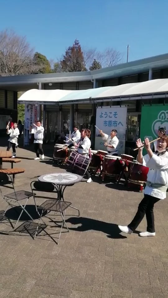 あずの里マルシェで、和太鼓紅粋連、市原ハワイアンフラ協会の演奏とダンスを披露して頂きました。ありがとう御座いました。
#あずの里いちはら #和太鼓紅粋連#市原ハワイアンフラ協会 #道の駅 #農業センター