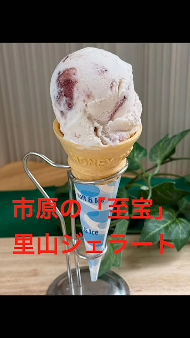 あずの里いちはら　軽食コ−ナ−です！市原の農家の山崎さんが営んでいる、里山農産物加工所が作る手作りジェラート　いちご、いちじくがあります。自分達で育てた生いちご、生いちじくが入っている手作りの味は、まさに市原の「至宝」です！
#あずの里いちはら #直売所 #ソフトクリーム #軽食 #農業センター