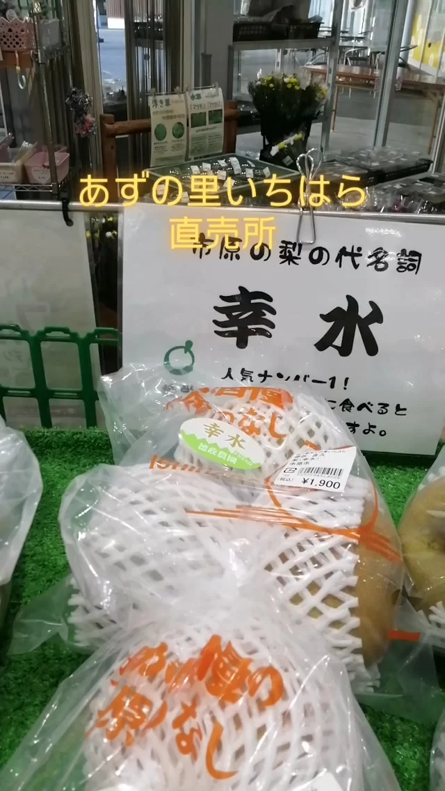 夏の恵みが勢ぞろい！地元の農家さんが大切に育てた、朝採れの新鮮な夏野菜とみずみずしい果物がたっぷり入荷しました！
#あずの里いちはら #新鮮野菜 #市原市グルメ #道の駅 #休憩スポット