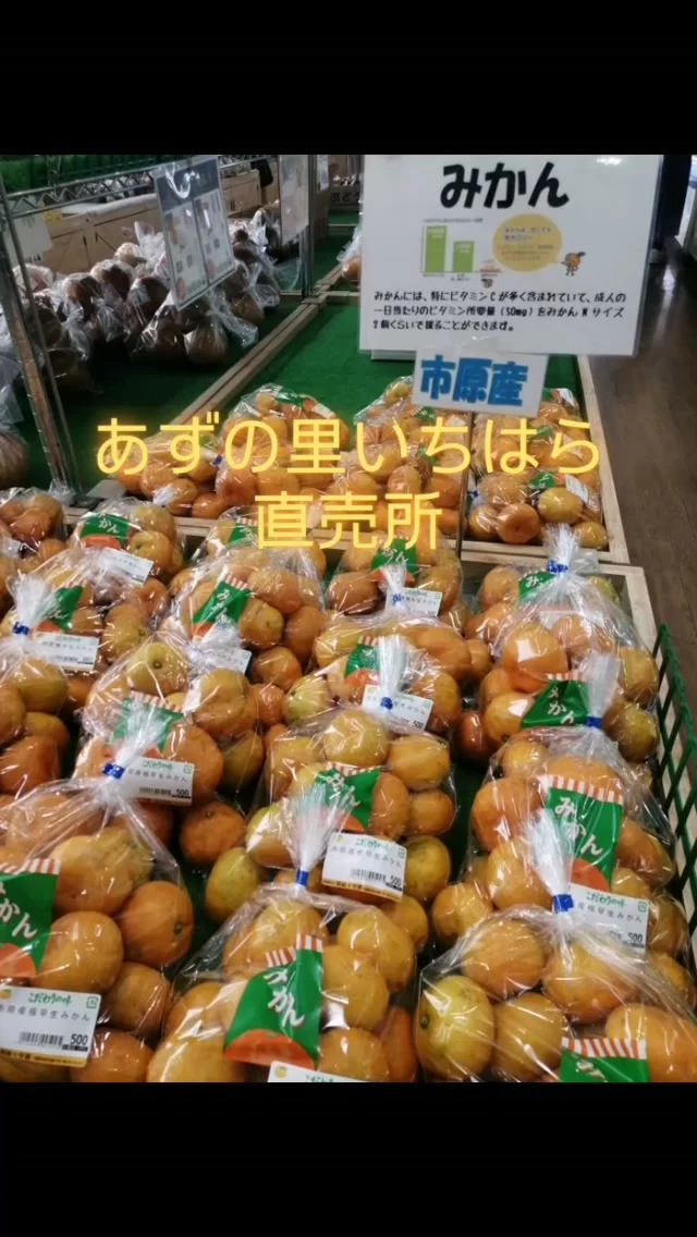 秋の味覚が勢ぞろい！直売所に今並んでいるおすすめの商品です。みかん、柿、おおまさり、キノコ栽培キット、梨:残りわずか！「まだあります」のでお早めに。ドライブがてら、ぜひ新鮮な秋を探しに来て下さい!　
#道の駅あずの里いちはら #直売所めぐり #みかん #柿 #おおまさり