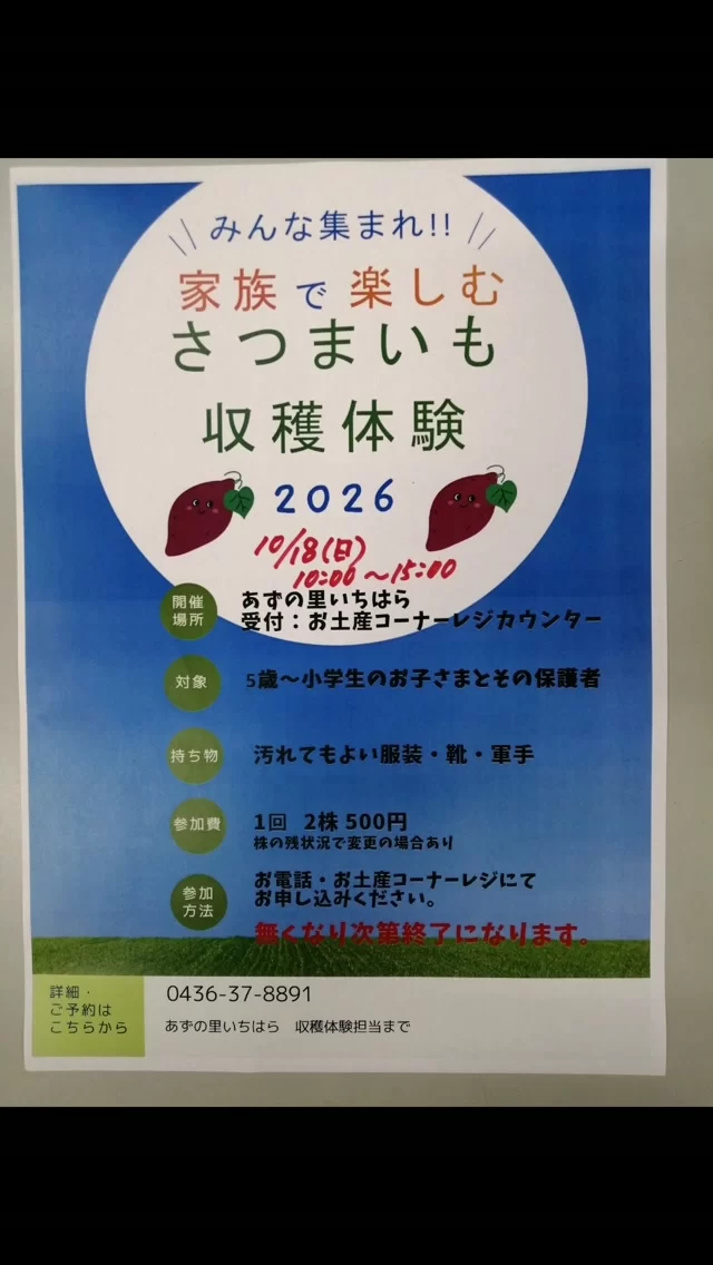 さつまいも収穫体験しませんか?
10月18日（日）10時〜15時
対象は幼稚園児〜小学生
1回2株で500円です。
受付は、お土産コーナーのレジで声をかけてね!
軍手持参でお願いします。
それでは、当日お待ちしております。
#あずの里いちはら #収穫体験 #さつまいも #市原市 #新鮮野菜